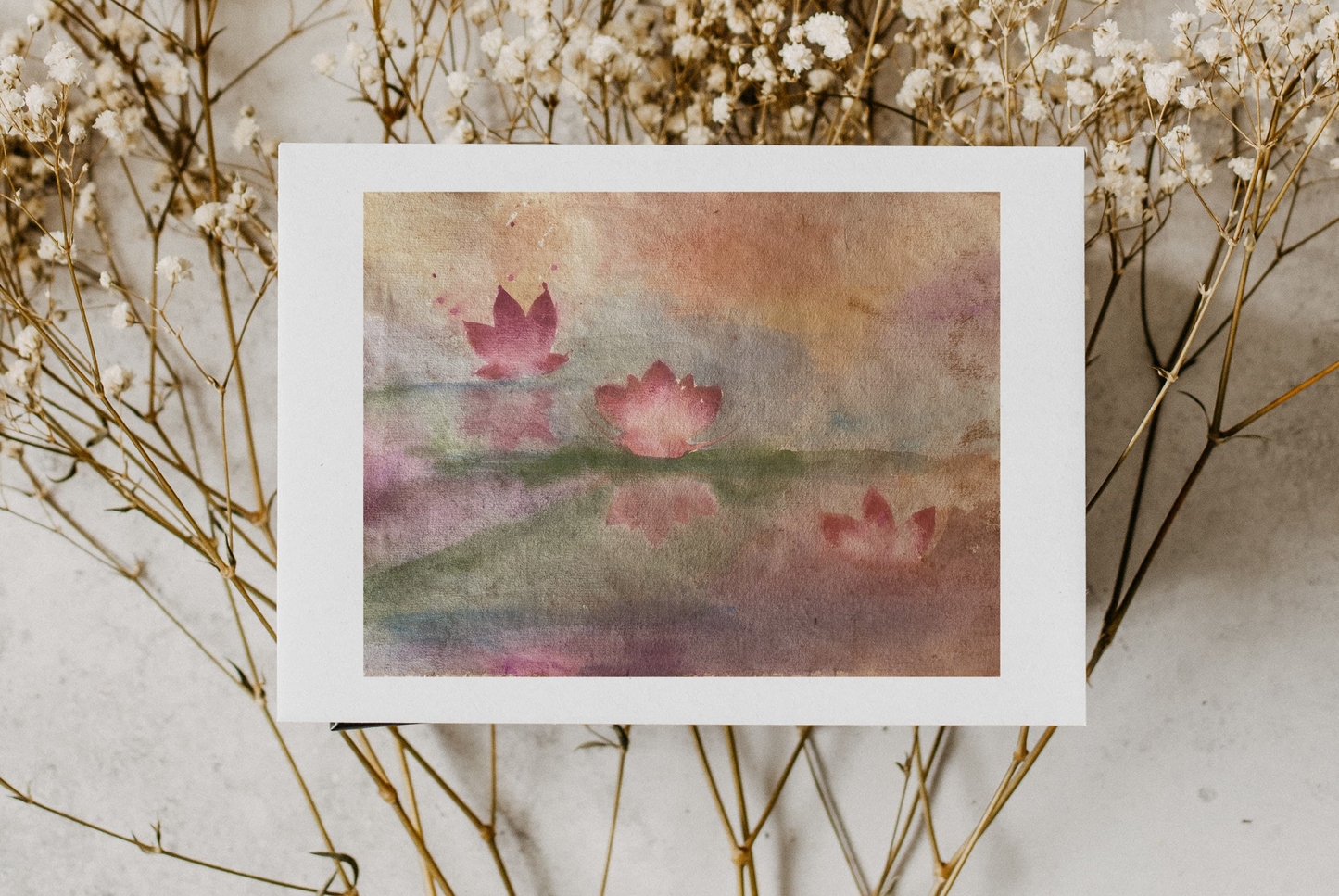 Lotus light 8x10